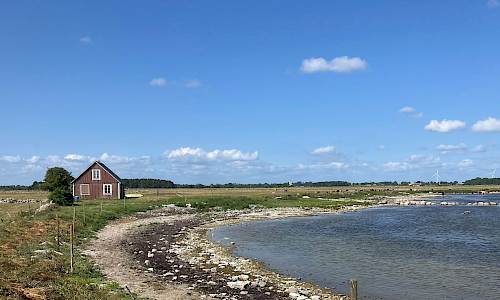 Foto: Stefan Svenaeus 2024