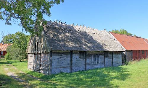 Foto: Stefan Svenaeus 2024