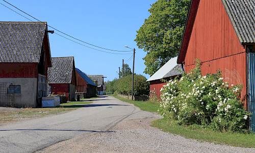 Foto: Stefan Svenaeus 2024