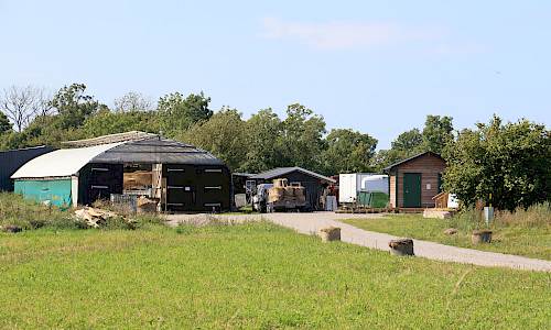 Foto: Stefan Svenaeus 2024