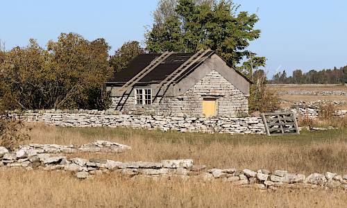 Foto: Stefan Svenaeus 2024