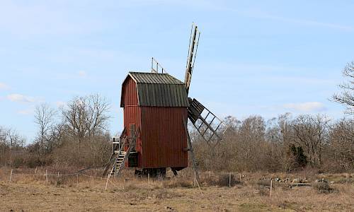 Foto: Stefan Svenaeus 2025