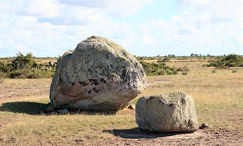 Foto: Stefan Svenaeus 2025