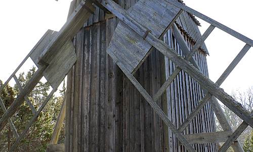 Foto: Stefan Svenaeus 2025