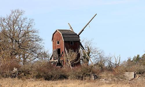 Foto: Stefan Svenaeus 2025