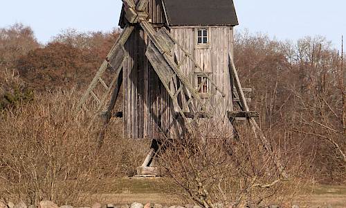 Foto: Stefan Svenaeus 2025