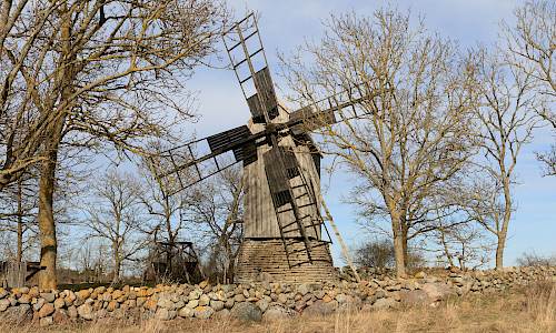 Foto: Stefan Svenaeus 2025