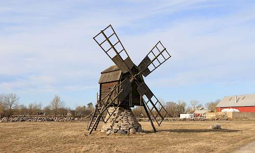 Foto: Stefan Svenaeus 2025