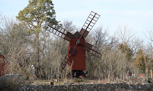 Foto: Stefan Svenaeus 2025