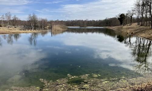 Foto: Stefan Svenaeus 2025
