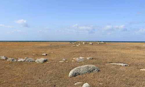 Ås 14:2 Foto: Stefan Svenaeus 2025