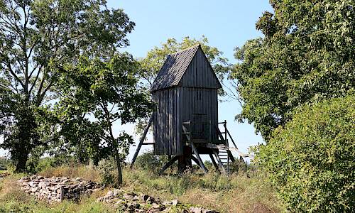 Foto: Stefan Svenaeus 2024