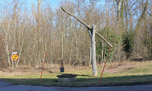 Foto: Stefan Svenaeus 2026